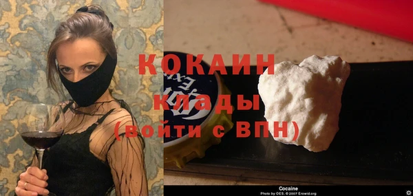 дмт Мегион