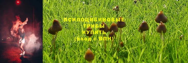 MESCALINE Медвежьегорск