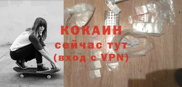 дмт Мегион