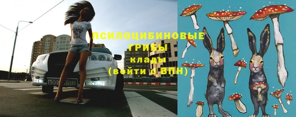 дмт Мегион